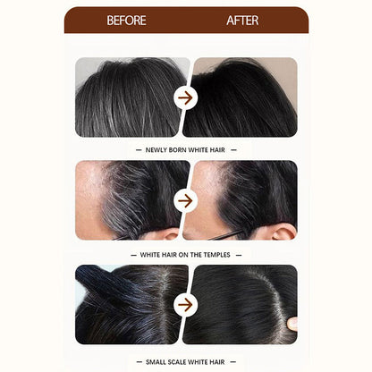 Disposable Hair Color Refill with Comb